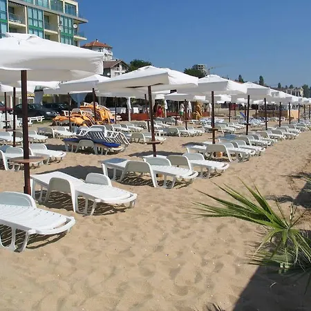 فندق Argisht Palace Only 3*